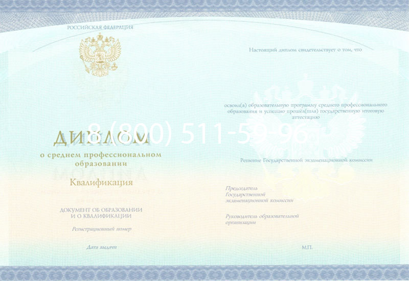 Купить Диплом колледжа (Спецбланк) 2014-2024 года в Хасавюрте Купить Диплом колледжа (Спецбланк) 2014-2024 года в Хасавюрте